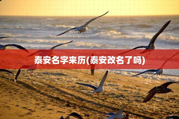 泰安名字来历(泰安改名了吗)