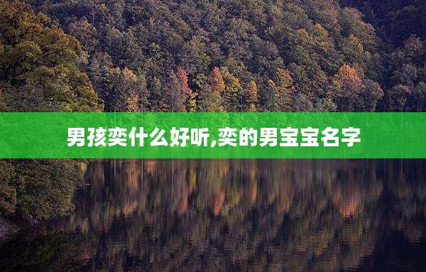 男孩奕什么好听,奕的男宝宝名字