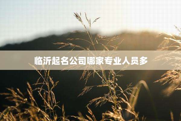 临沂起名公司哪家专业人员多