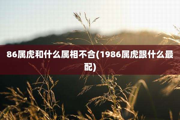 86属虎和什么属相不合(1986属虎跟什么最配)