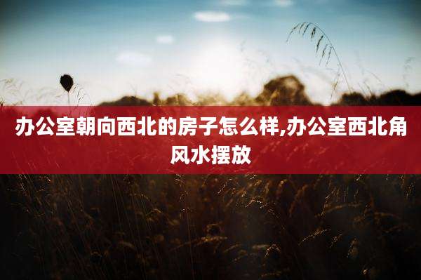 办公室朝向西北的房子怎么样,办公室西北角风水摆放