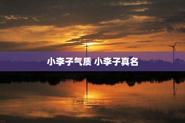 小李子气质 小李子真名