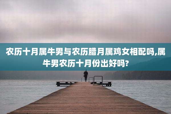 农历十月属牛男与农历腊月属鸡女相配吗,属牛男农历十月份出好吗?