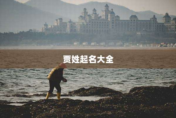 贾姓起名大全
