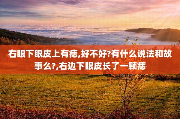右眼下眼皮上有痣,好不好?有什么说法和故事么?,右边下眼皮长了一颗痣