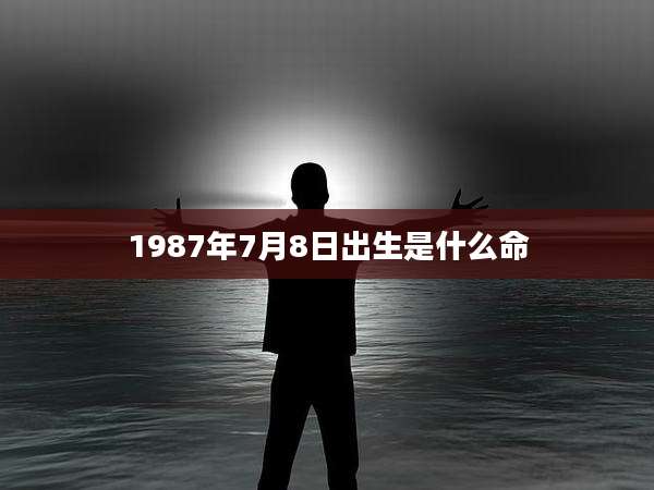 1987年7月8日出生是什么命