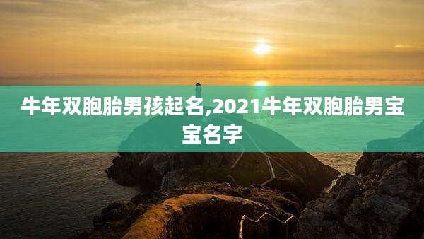 牛年双胞胎男孩起名,2021牛年双胞胎男宝宝名字