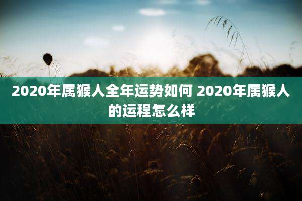 2020年属猴人全年运势如何 2020年属猴人的运程怎么样