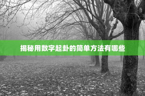 揭秘用数字起卦的简单方法有哪些