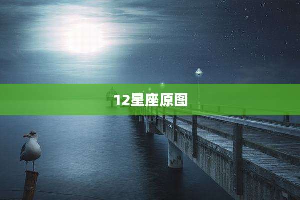 12星座原图
