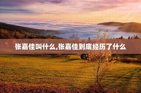 张嘉佳叫什么,张嘉佳到底经历了什么