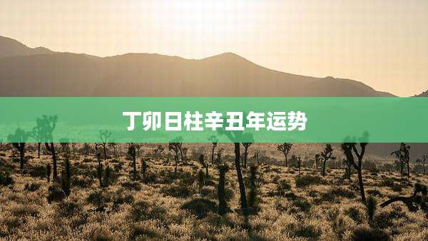 丁卯日柱辛丑年运势