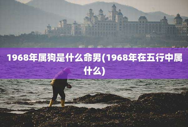 1968年属狗是什么命男(1968年在五行中属什么)