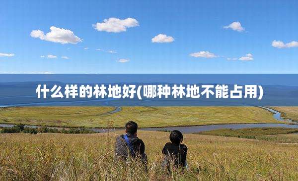 什么样的林地好(哪种林地不能占用)