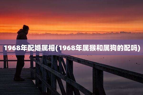 1968年配婚属相(1968年属猴和属狗的配吗)