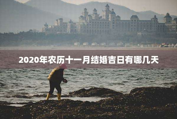 2020年农历十一月结婚吉日有哪几天