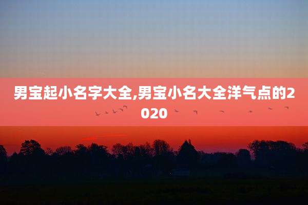 男宝起小名字大全,男宝小名大全洋气点的2020