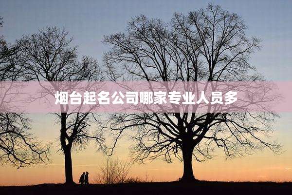 烟台起名公司哪家专业人员多
