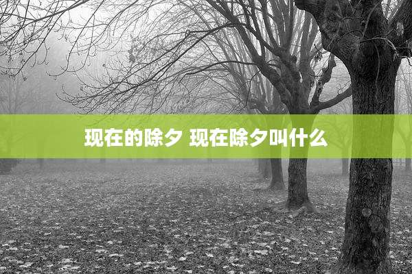 现在的除夕 现在除夕叫什么