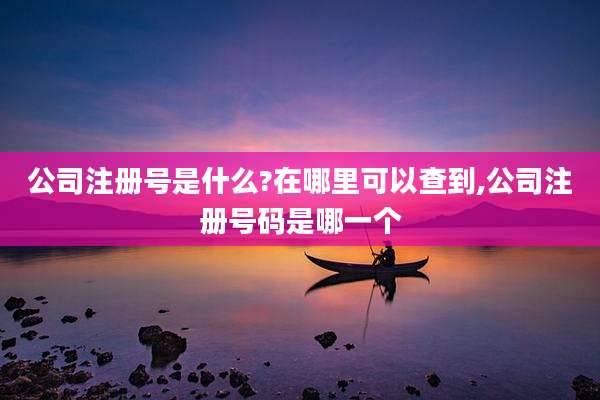 公司注册号是什么?在哪里可以查到,公司注册号码是哪一个