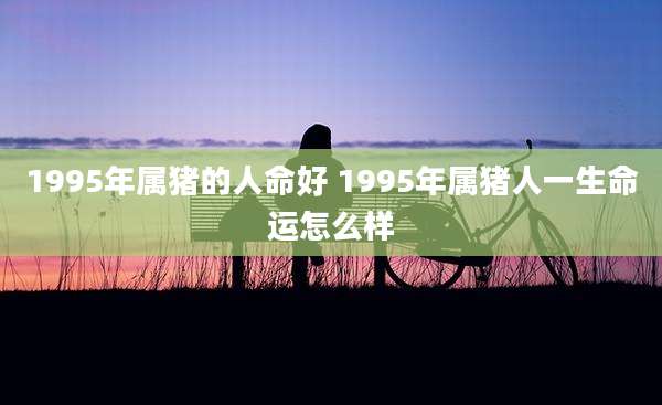 1995年属猪的人命好 1995年属猪人一生命运怎么样