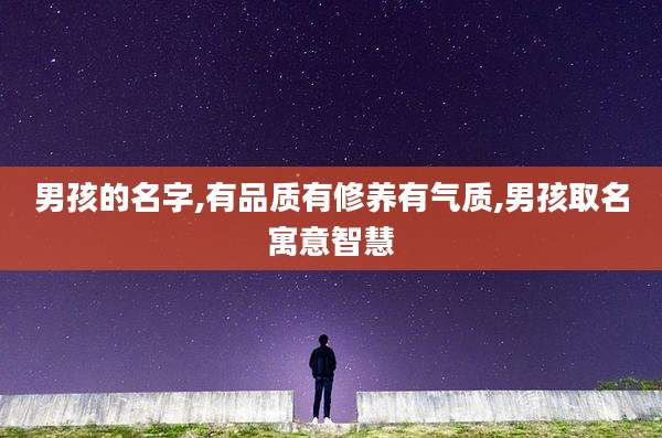 男孩的名字,有品质有修养有气质,男孩取名寓意智慧