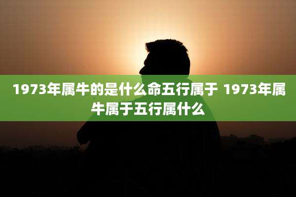 1973年属牛的是什么命五行属于 1973年属牛属于五行属什么