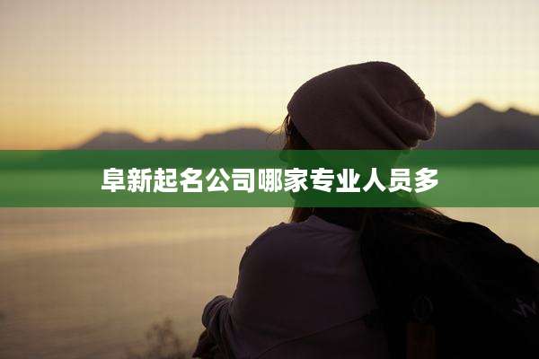阜新起名公司哪家专业人员多