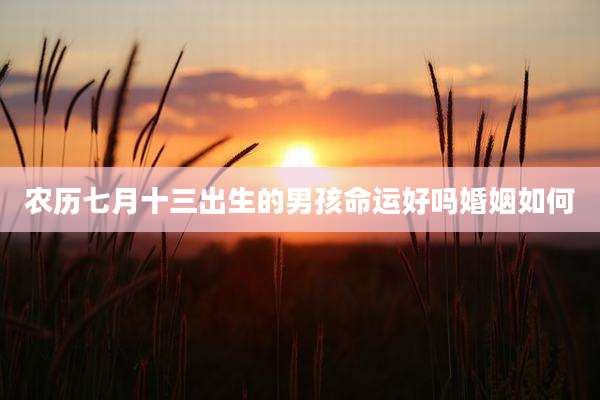 农历七月十三出生的男孩命运好吗婚姻如何