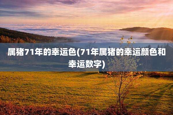 属猪71年的幸运色(71年属猪的幸运颜色和幸运数字)