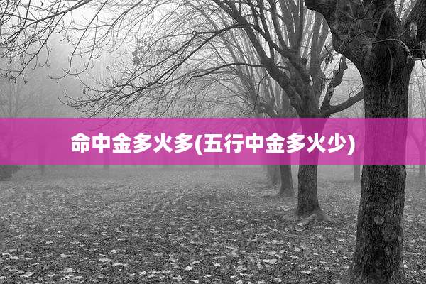 命中金多火多(五行中金多火少)