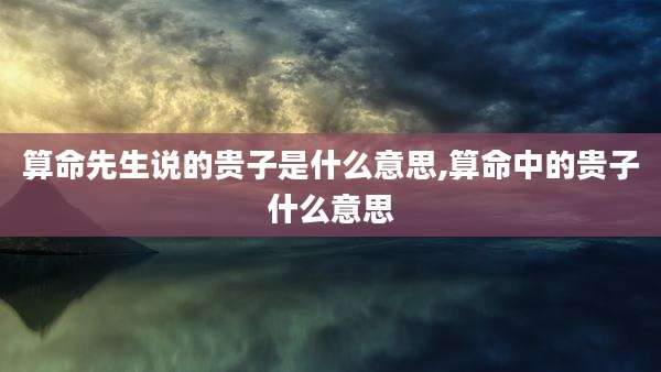 算命先生说的贵子是什么意思,算命中的贵子什么意思