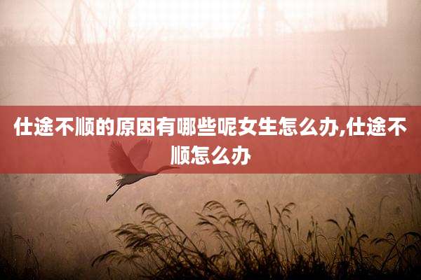 仕途不顺的原因有哪些呢女生怎么办,仕途不顺怎么办