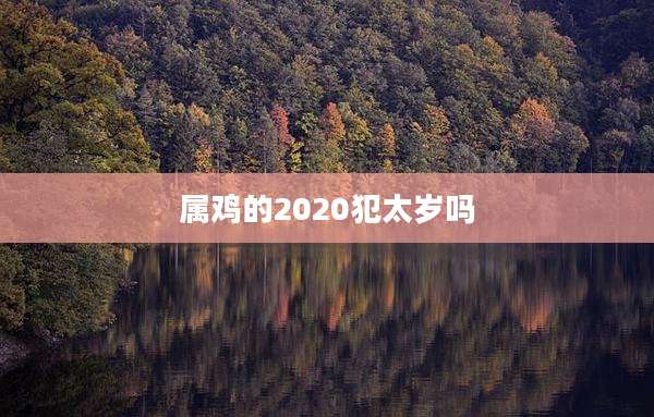 属鸡的2020犯太岁吗