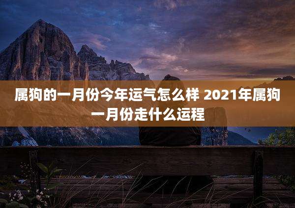 属狗的一月份今年运气怎么样 2021年属狗一月份走什么运程