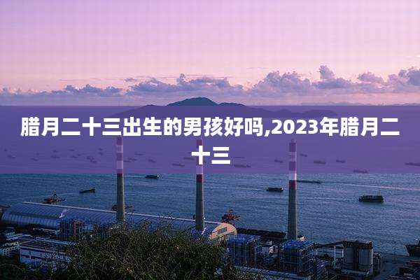 腊月二十三出生的男孩好吗,2023年腊月二十三