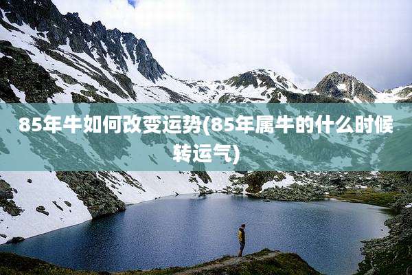85年牛如何改变运势(85年属牛的什么时候转运气)