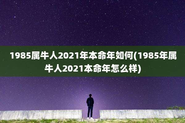 1985属牛人2021年本命年如何(1985年属牛人2021本命年怎么样)