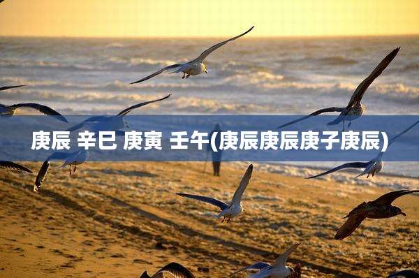 庚辰 辛巳 庚寅 壬午(庚辰庚辰庚子庚辰)