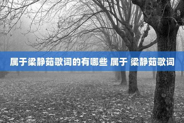 属于梁静茹歌词的有哪些 属于 梁静茹歌词