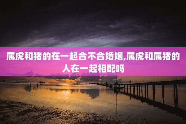 属虎和猪的在一起合不合婚姻,属虎和属猪的人在一起相配吗