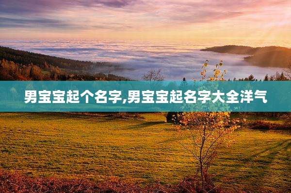 男宝宝起个名字,男宝宝起名字大全洋气