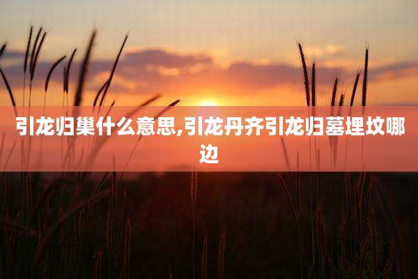 引龙归巢什么意思,引龙丹齐引龙归墓埋坟哪边