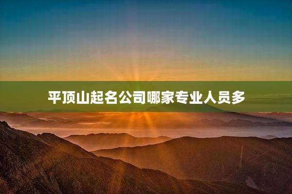 平顶山起名公司哪家专业人员多
