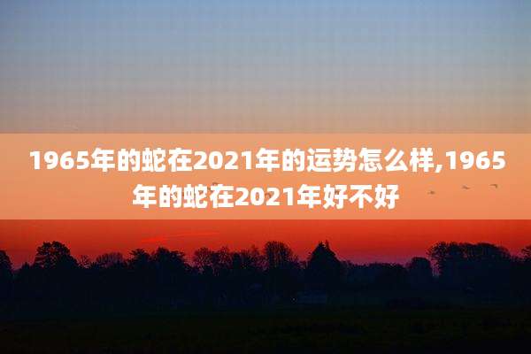 1965年的蛇在2021年的运势怎么样,1965年的蛇在2021年好不好