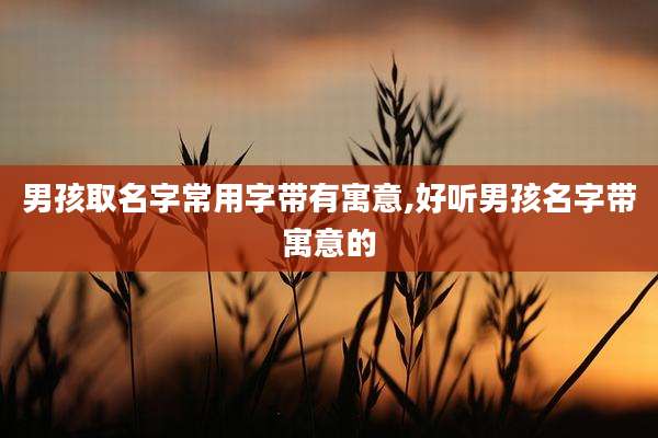 男孩取名字常用字带有寓意,好听男孩名字带寓意的