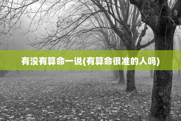 有没有算命一说(有算命很准的人吗)