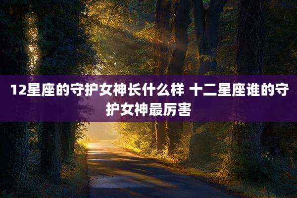 12星座的守护女神长什么样 十二星座谁的守护女神最厉害