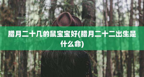 腊月二十几的鼠宝宝好(腊月二十二出生是什么命)