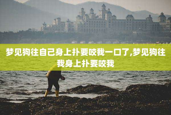 梦见狗往自己身上扑要咬我一口了,梦见狗往我身上扑要咬我